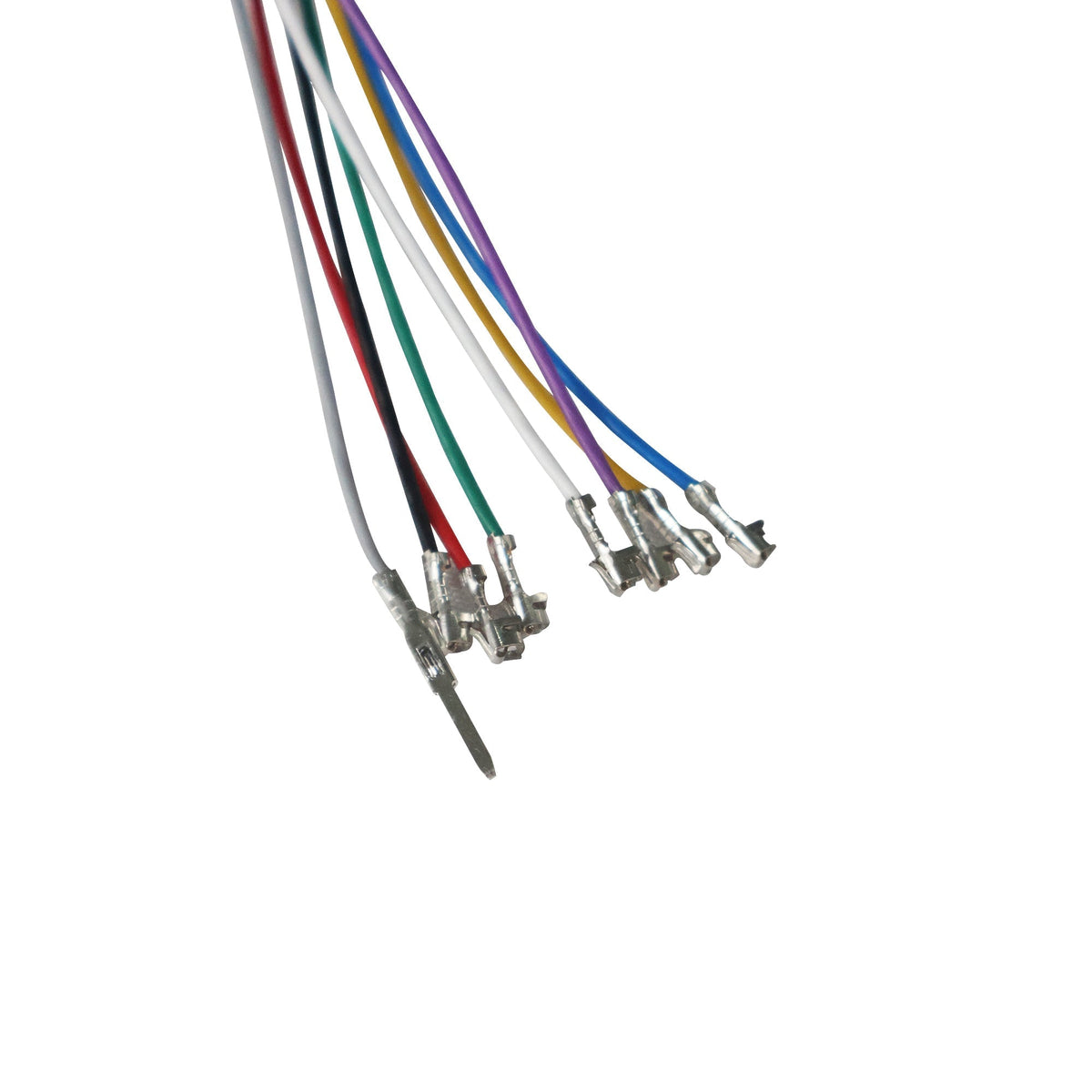 1 to 3 8-Core Wire for Warrior X Plus / Warrior X Max