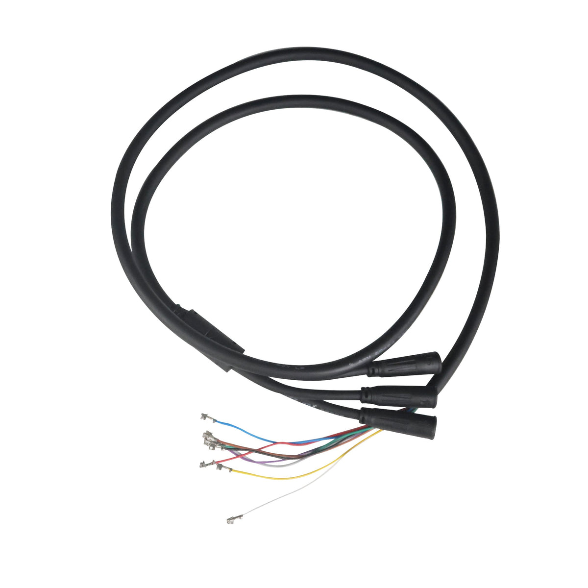 1 to 3 10-Core Main Line for Warrior 11 Pro+