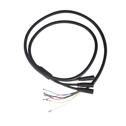 1 to 3 10-Core Main Line for Warrior 11 Pro+