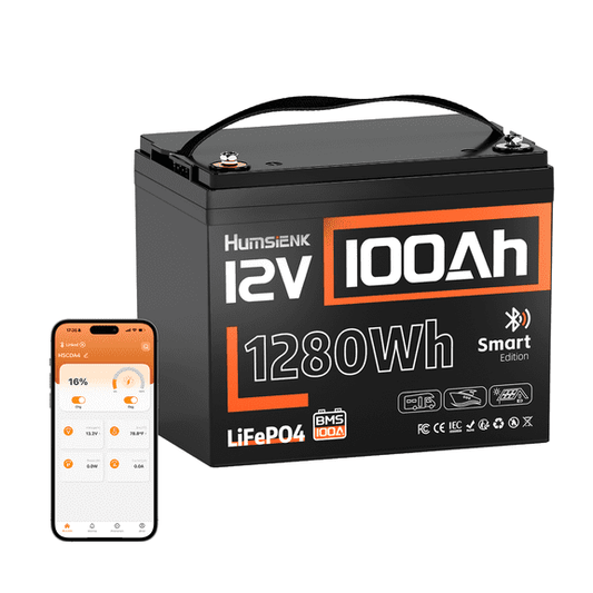 Humsienk 12V 100Ah LiFePO4 deep cycle solar battery