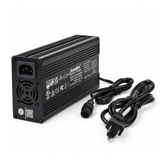67.2V 5A Fast Charger for Mantis King GT / Warrior X Max
