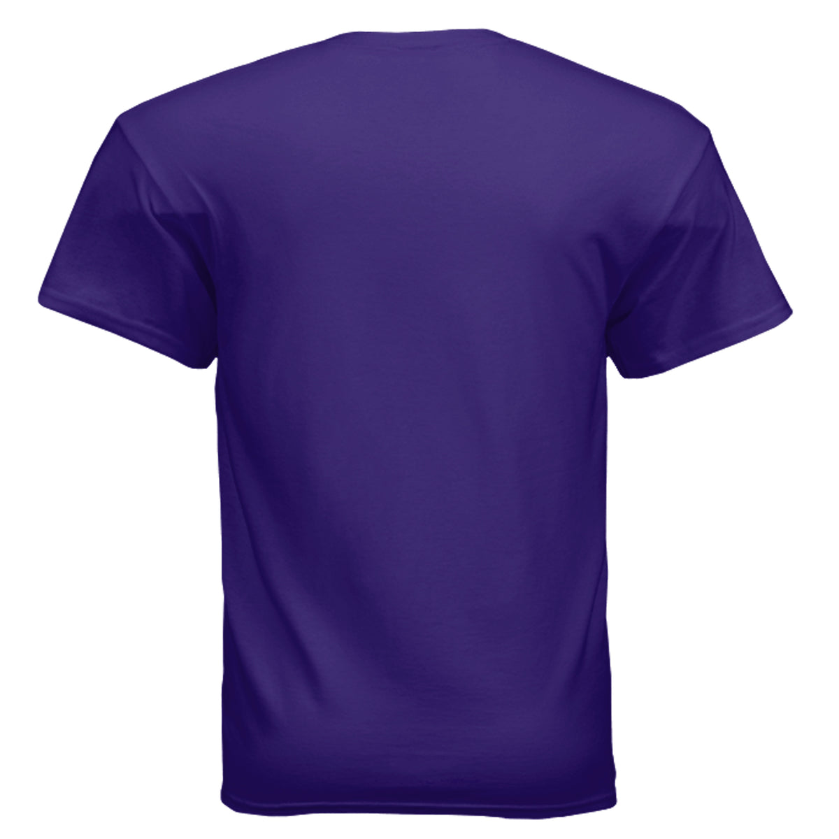 AetherShift logo t-shirt, back view, purple